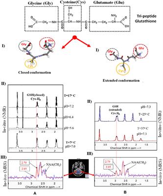 Editorial: Predictive Imagable Biomarkers for Neurodegenerative and Neurodevelopmental Diseases